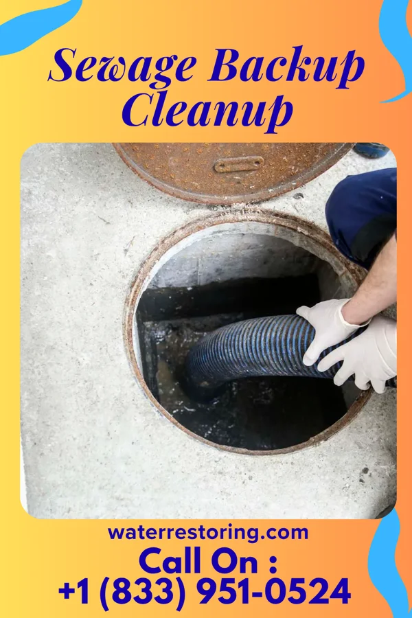 Sewage Backup Cleanup in Gladstone, MO