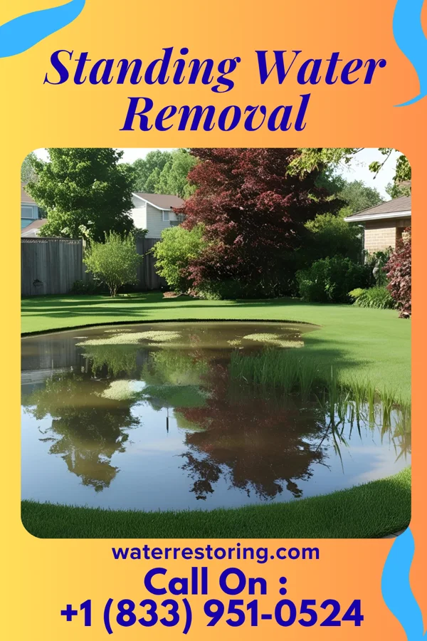 Standing Water Removal in Gladstone, MO